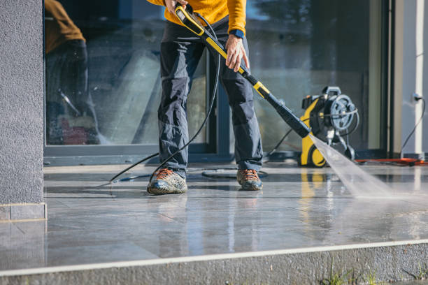 Animal Enclosure Cleaning in Clark Mills, NY